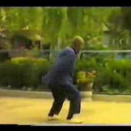Taiji - Chen Style old form 1 & 2