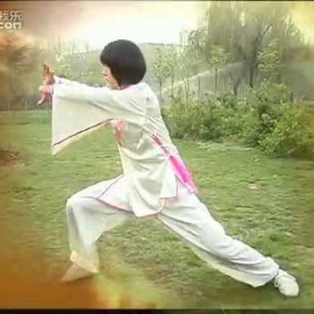 陳式太極拳王西安拳法研究會八朶小金花之二