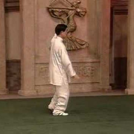 Chen Taijiquan - Laojia Yi Lu (part 1)