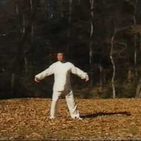 陳式太極拳　老架一路　1　王西安